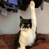 なぜ、ダメなん？？