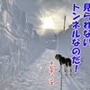百年に一度しか見れないトンネルなのだ！