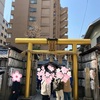 京都の神社⛩