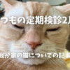 【猫】病院に定期検診行って来た　肥満細胞腫の疑い？　2月24日
