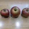 落ちたリンゴでジャム作り