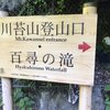 ヤマノススス(奥多摩 川苔山)