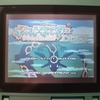 【GAME BOY ADVANCE】【ポケモンRSE】ジグザグマに追いかけられてからがスタートです