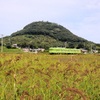 田園風景を撮影しようと来たところ