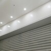 ポケモンセンターシブヤ オープンおめでとうございます びとうろうぽ記 ポケモンセンターシブヤ オープンおめでとうございます びとうろうぽ記
