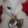 猫の刺繍ブローチ（１４個目）