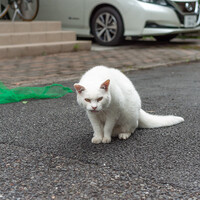 緊急事態宣言Mark3明けの平日の朝ン歩模様。