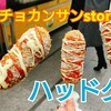 【ソチョカンサンstory】カンナム駅で話題のフードトラックでチーズハッドグを食べてみた。安くてウマイ最強コスパ。