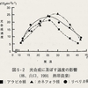 コーヒーベルトは結構大事！光合成量が増える環境とは？