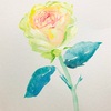   日々絵「花の名前　name of the flower」17.11.20