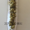胆嚢摘出手術に挑む（手術当日）