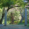 印旛沼の竜伝承-龍腹寺-