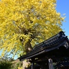 山行記　右田ヶ岳　天徳寺ルート→塚原ルート