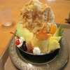 【奈良かき氷】 Café 橿乃杜（かしのもり） さん