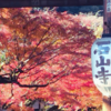 石山寺の紅葉散策〜12月初旬の彩りと季節の移ろいを楽しむ🍁