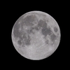 「月」の撮影　2023年11月27日(機材：ミニボーグ67FL、7108、E-PL8、ポラリエ)