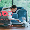 Aibo欲しいけど高すぎるからアプリの『My Aibo』で我慢してみた【体験談】