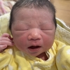 生まれました！
