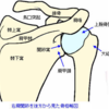 肩関節脱臼へのアプローチ＠救急外来