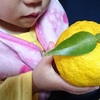 ２歳児ゆうゆう柚の香りに興味津津。