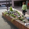 Flower bed - for winter, 2014