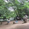 武蔵関公園（東京都練馬区）