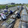 R5年8月13日