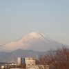 今朝の『富士山』。