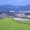 阪神競馬場