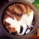 まるん。