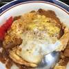 筋曜はカレーの日？！ 富士そば カレーカツ丼