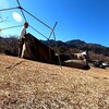 悲しいトラブル。キャンプ前に突風でテントが破壊された