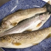 肴の川魚料理【岩魚南蛮漬け】