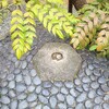 【京都】『六角堂（頂法寺）』「京の冬の旅」に行ってきました。 
