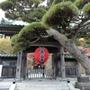 紅葉の鎌倉は・・