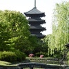 新緑の梅小路公園と東寺