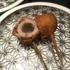麻布十番　あもん