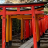 【谷根千（やねせん）とは？】英語3文で学ぶYanesen