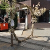 「夏越の大祓に行く 2023（池尻稲荷神社）」