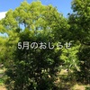 5月のおしらせ