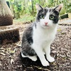 【552日目】急に寒い