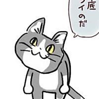 もうどうにでもなれとは ウェブの人気 最新記事を集めました はてな