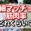 細マッチョの筋肉率ってどのぐらい？【細マッチョを目指す！】