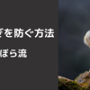 食べすぎを防ぐ方法　〜ずぼら流〜