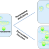 ペルオキシソームの新しい機能を発見！ (筆頭著者による論文紹介)