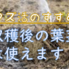 【ベランダ菜園】収穫が終わった野菜の葉茎は捨てませんよ！