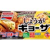 しょうがギョーザとは即ち