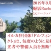 9月6日札幌のミンククジラ競り。9月9日に太地でバンドウ（今季通算5日目の漁の成功）