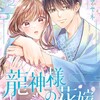 龍神様の花嫁　 結末の考察を丁寧にしました！