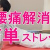 腰の痛みを軽減する簡単なストレッチ